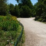 chemin spirituel de méditation