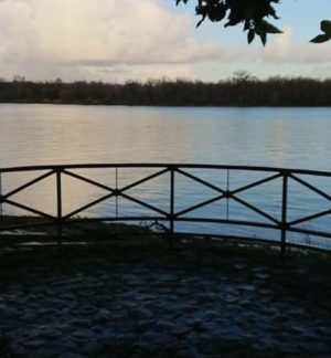 Pont au bord du fleuve