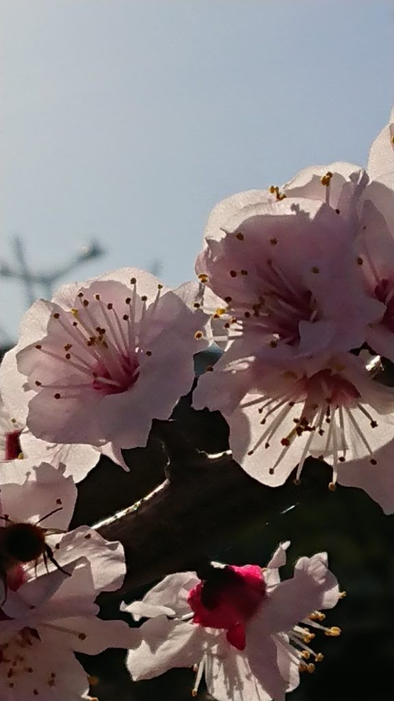 Découvrez le sens de l’énergie de grâce, ses pratiques et son intégration au quotidien, selon vos croyances et votre chemin spirituel.