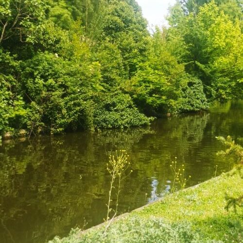 Rivière paisible entourée de verdure, symbolisant la continuité intérieure et la douceur de maintenir spirituellement l’énergie de grâce au quotidien.