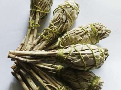 feuillage de sauge spirituelle