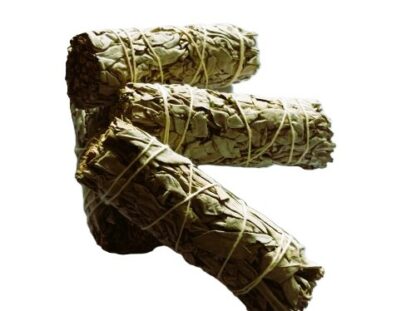 lots batonnet de sauge en fumigation grand format
