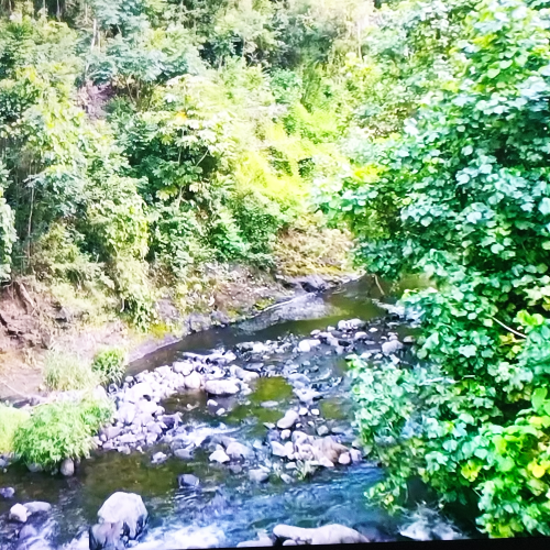 Un ruisseau cristallin serpente entre les rochers, baigné de lumière dorée