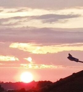 une lueur crépusculaire embrase l’horizon, diffusant dans un ciel nuageux des teintes délicates de rose et d’orange. Sur la silhouette sombre d’un lampadaire, un oiseau immobile se découpe, observateur silencieux du soleil qui s’abaisse lentement vers la terre. La scène, suspendue entre lumière et ombre, capture un instant de calme vibrant, presque fragile